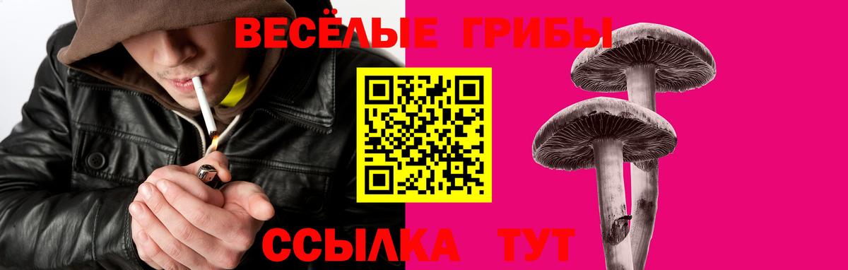Нефтекамск  Галлюциногенные грибы Psilocybe  Вход с VPN 